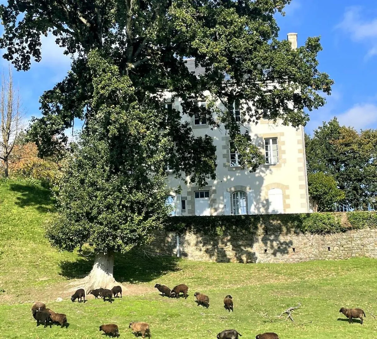 Pontrieux - Moutons Ouessant - Bord Du Trieux Apartman