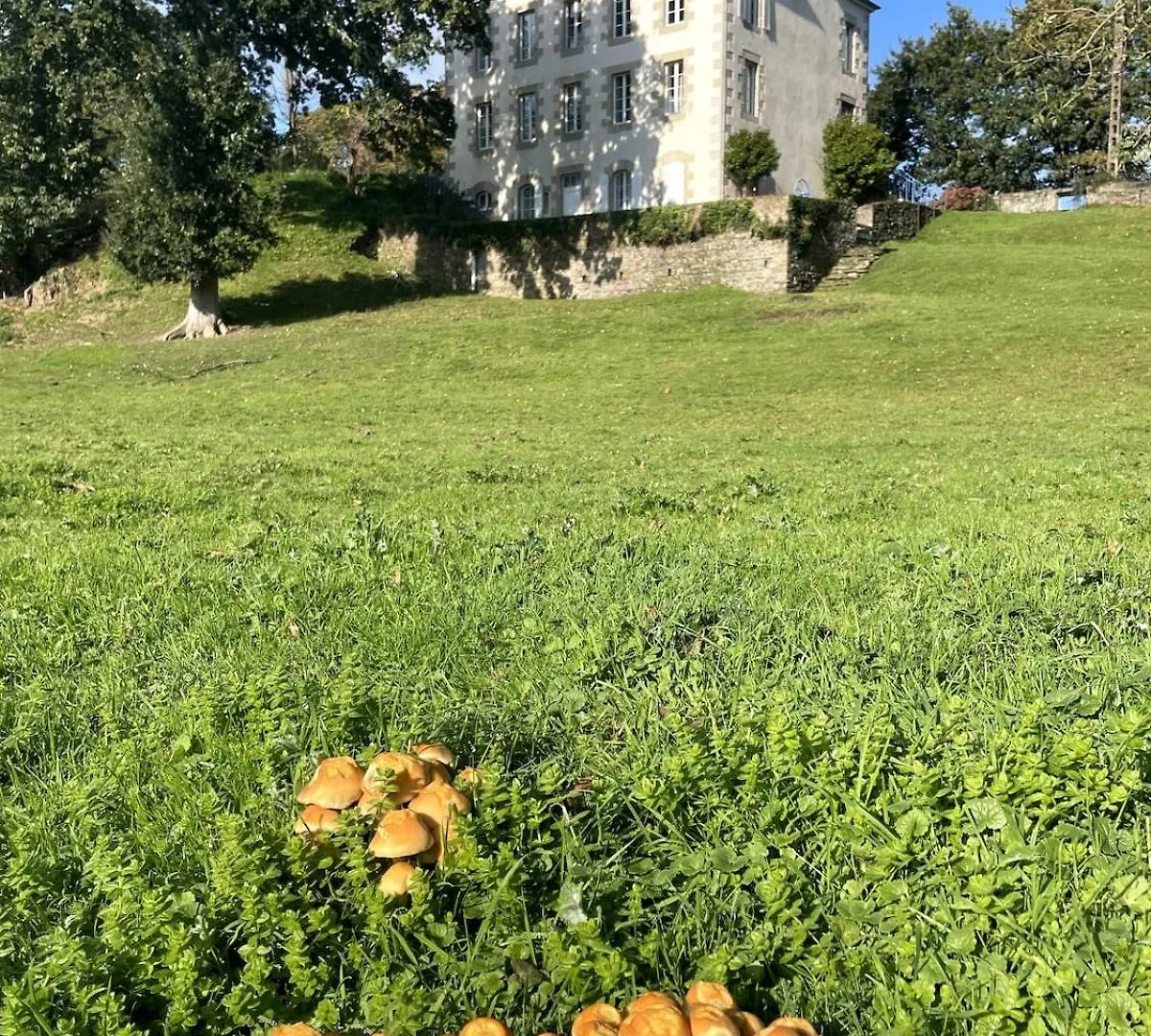 Pontrieux - Moutons Ouessant - Bord Du Trieux Apartman 0*,